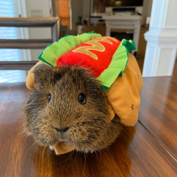 Meet your Posher, Emily - Picture 3 of 16